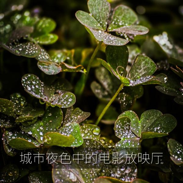 城市夜色中的电影放映厅